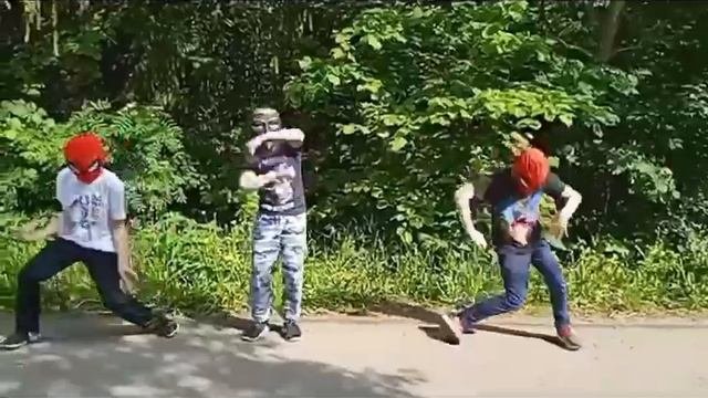 spider manchicki