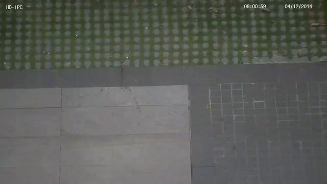 IP PTZ камера дневное видео 2