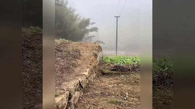 1000032072.mp4
