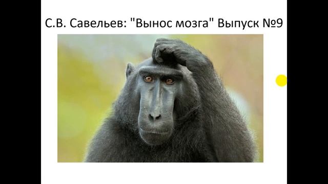 Возникновение человека 10 класс география