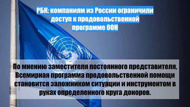 РБК: компаниям из России ограничили доступ к продовольственной программе ООН