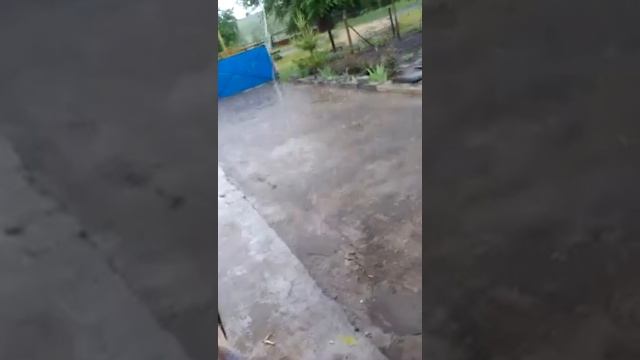 Ужас/сильный ливень