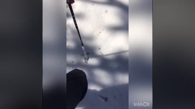 Подъем на Беседку Ветров