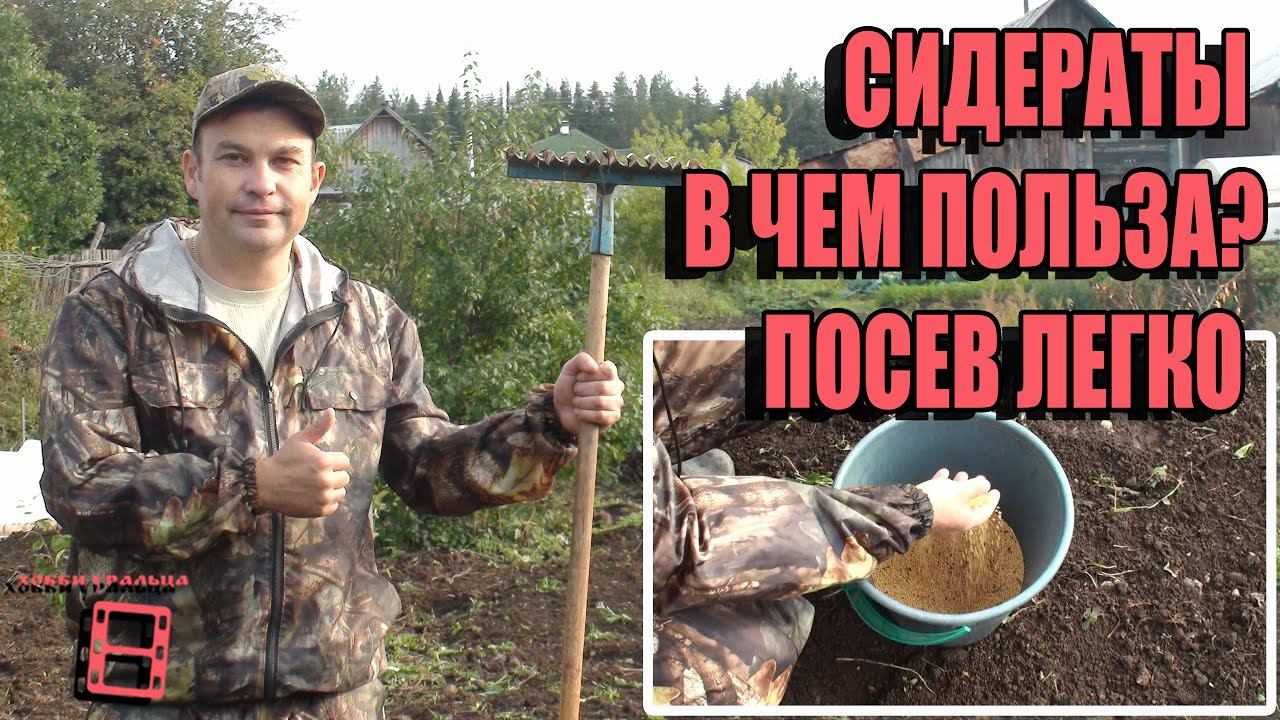 СИДЕРАТЫ, В ЧЕМ ПОЛЬЗА? СЕВООБОРОТ КУЛЬТУР. ПОСЕВ СИДЕРАТОВ ЛЕГКО. САД (ОГОРОД) И ТЕПЛИЦА