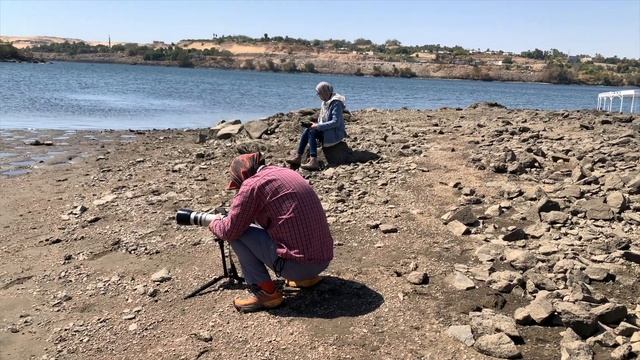 Бердвотчинг в Асване, Египет / Birdwatching in Aswan, Egypt