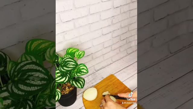 Жижиг галнаш
