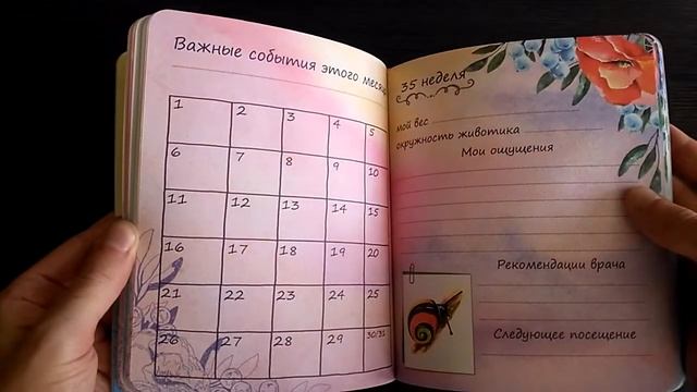 MyArt. "Дневник моей беременности" и "Книга для записи кулинарных рецептов", 160х195 мм