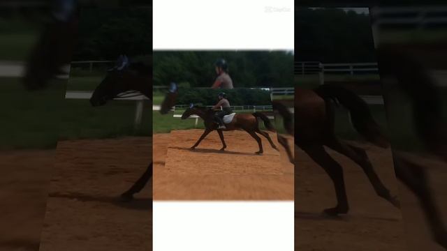 edit for @hgh_horse7861 , thxs for making me one!!!