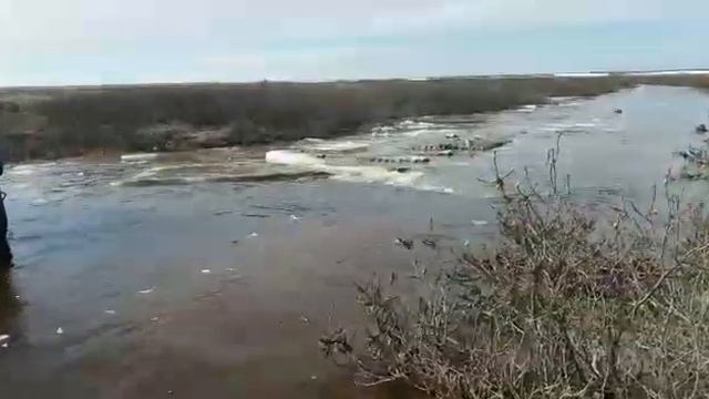 Такая работа (ЯМАЛ)