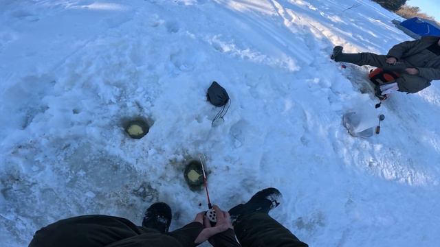 Долгожданная посылочка,Супер подарок на 23 февраля,ОЧЕРЕДНАЯ РЫБАЛКА НАЛОВИЛИ ПАКЕТ СОРОЖКИ
