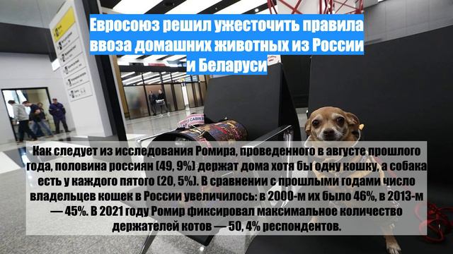 Евросоюз решил ужесточить правила ввоза домашних животных из России и Беларуси