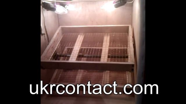 Инкубатор Автоматический