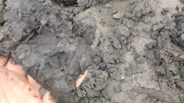 НАШЛИ ЖИРНЫЙ КОШЕЛЬ НА БОЛОТЕ! МОНЕТ НЕ МЕРЕННО! СМОТРЕТЬ ВСЕМ! В Поисках Клада от Влада!