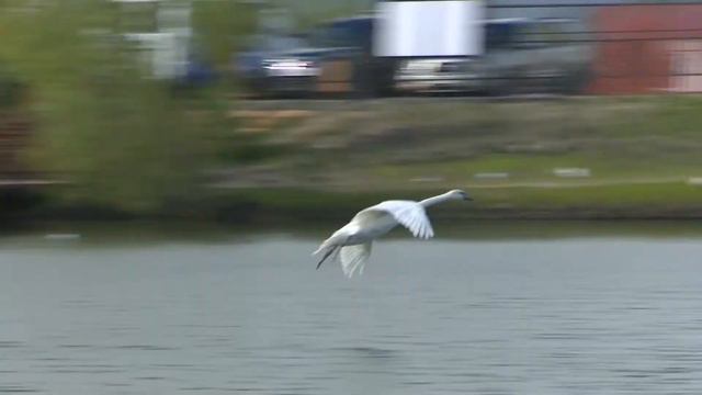 ОБДОРСК САЛЕХАРД 426