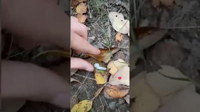 Нашёл AirPods