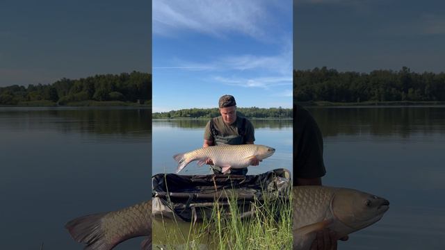 АМУР ГИГАНТ 🎣