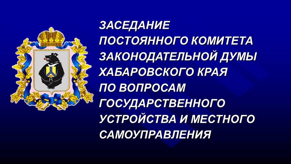 Заседание постоянного комитета Думы по вопросам государственного устройства и  МСУ 26.07.2024