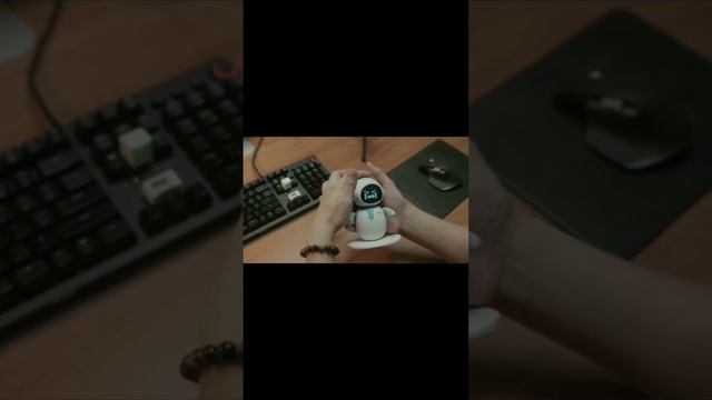 kompanyEilek eilik  robot Aylik