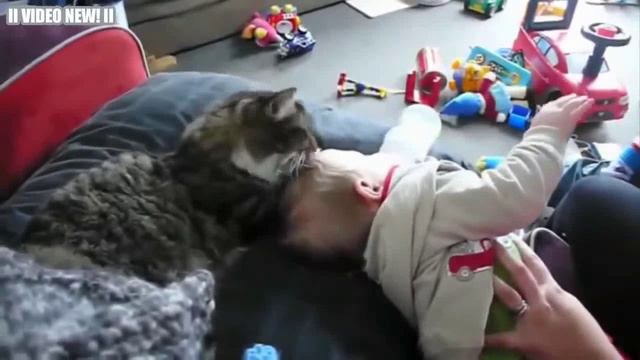 Милый ребенок и кошка Видео Сборник