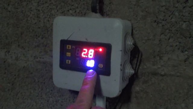 Зимовка инжира в цоколе