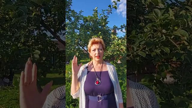Родник продали. Как быть? Ответ здесь!