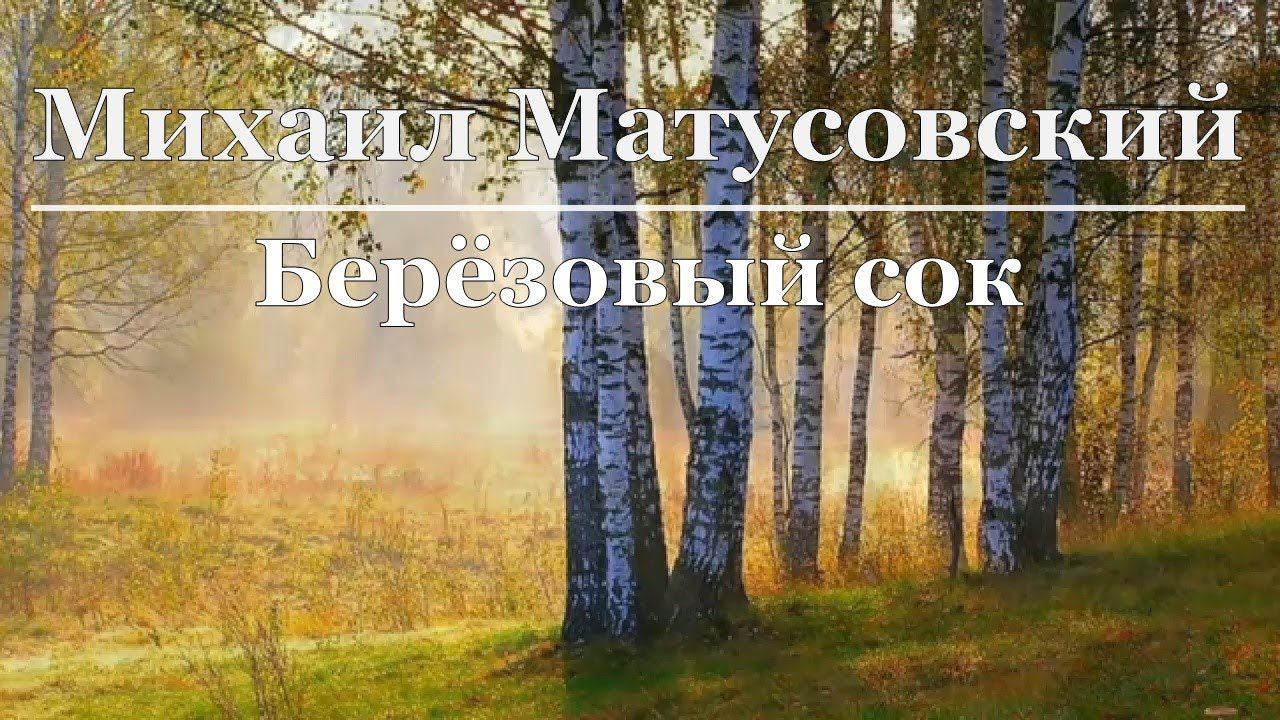 Михаил Матусовский - Берёзовый сок