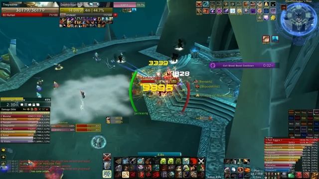 TankSpot's Guide to Icecrown Deathbringer Saurfang (25-man)