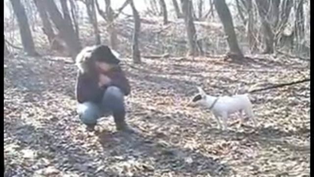 первые занятия с новичками ПСС.индикация.flv