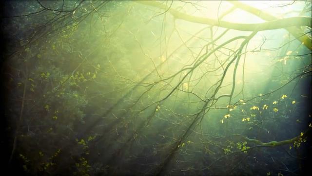 Oliver Shanti - Water 1 hour