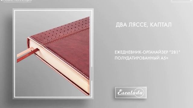 Ежедневник-органайзер полудатированный А5+ 192 л. переплёт Виннер 47532-537 Феникс+ Ростов-на-Дону