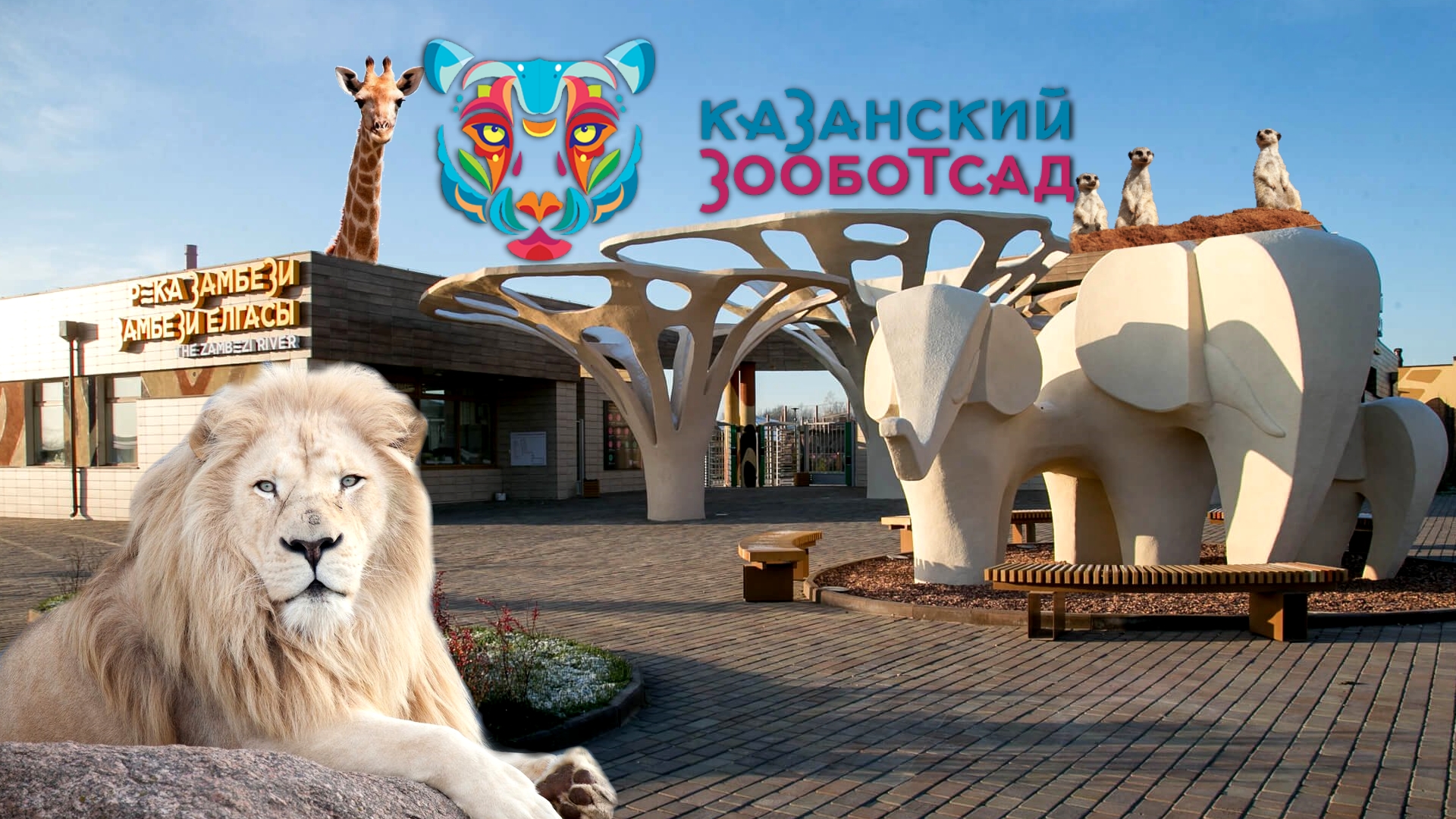 РЕКА ЗАМБЕЗИ | Казанский зооботанический сад | 2024