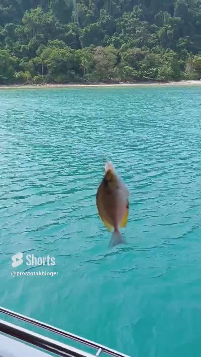 Острова. Снорклинг. Рыбалка. Остров Ко Чанг / Fishing. Paradise islands #таиланд #остров #рыбалка