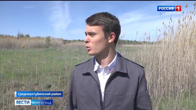 Обнаружено зарастание земель сельскохозяйственного назначения  (2024-05-15, Волгоград-ТРВ)
