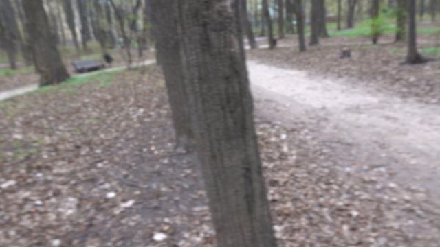 Балерина Копия и ещё одна белка. Зарисовка