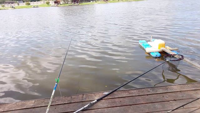 Озерки в Марлине 2 , карповое эльдорадо!