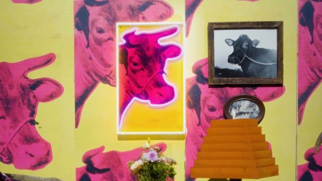 Limited Edition YP x Andy Warhol Collection