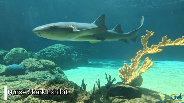 Inside Ocean World Adventure Park - Puerto Plata, Dominican Republic