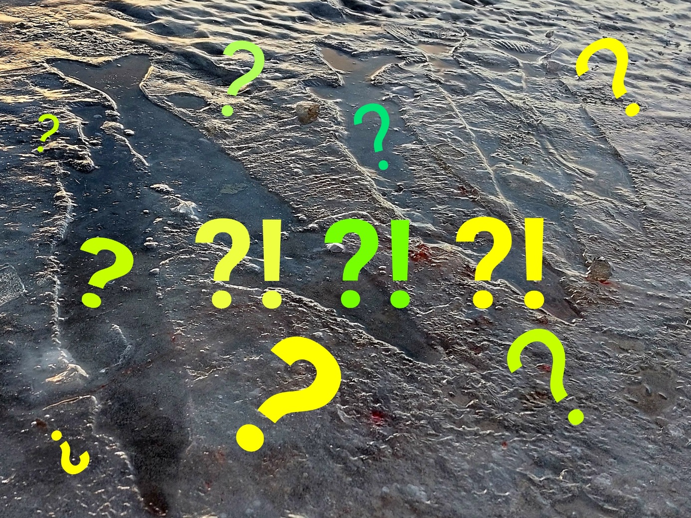 Повезёт ли как вчера?!?!?! 8.11.2022
