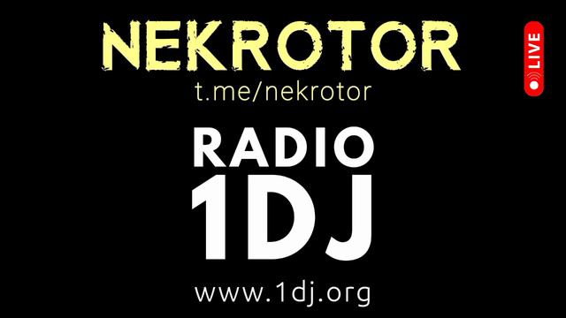Радио 1 Диджей - афро хаус сет 2024 - NEKROTOR - live DJ Afro House Music Set 2024