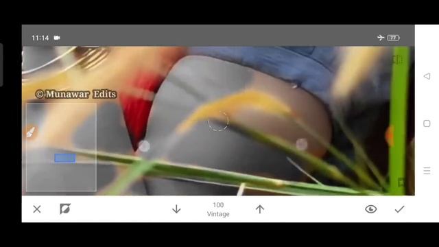 Snapseed Green And Bird Effect Photo Editing Tutorial  Snapseed Background Colour Change Tricks