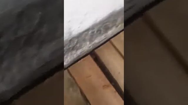 Делаем черновой пол