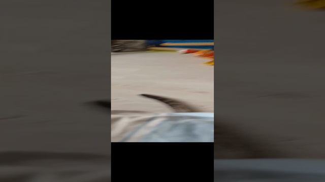 приколюхи с моим котом новая рубрика