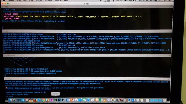 Performance of Macbook Pro Late 2011 with 16GB RAM | Raw Video