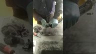 Заправка картриджа 925