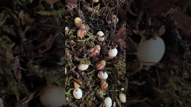 Растим малышей вместе.Часть 2