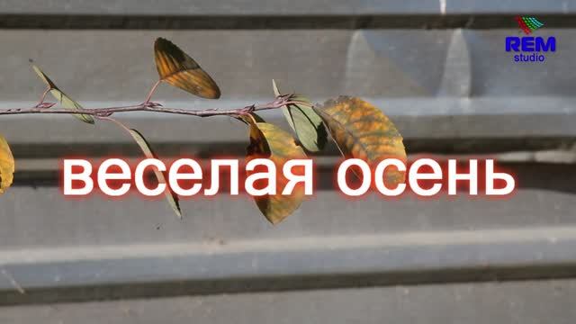 Веселая осень