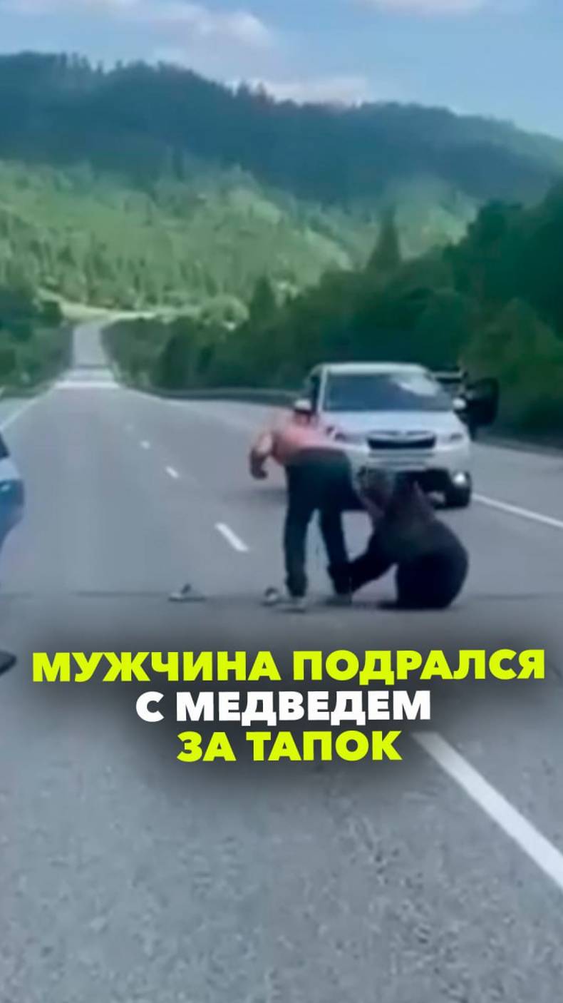 Типичная Россия глазами иностранцев: житель Иркутской области подрался с медведем... за тапок