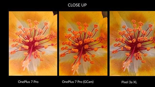 OnePlus 7 Pro vs OnePlus 7 Pro GCam vs Pixel 3a XL camera comparison: Google improves everything