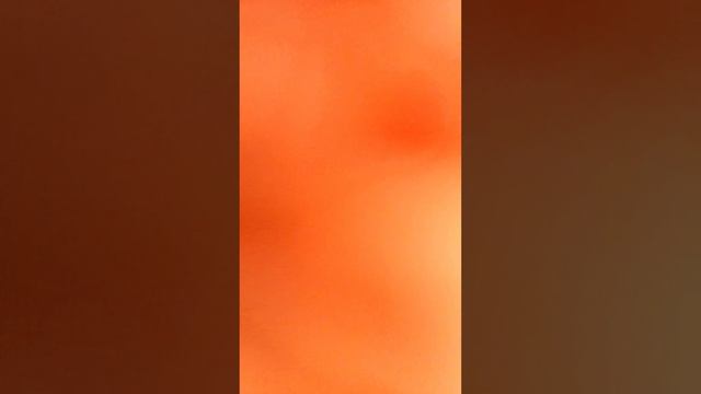 Осьминожка на заказ