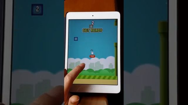 flappy 2048 : What happens when Flappy birds suffered 2048 ?